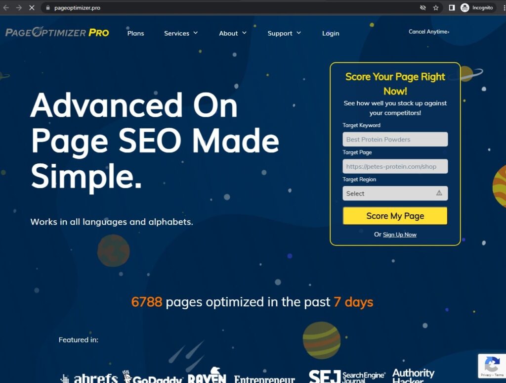 Page Optimizer Pro